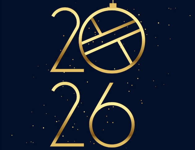 График работы на новогодние праздники 2025-2026!