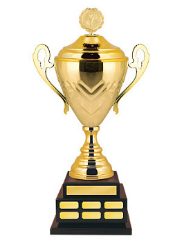 Кубок переходящий - КМ2806-Z